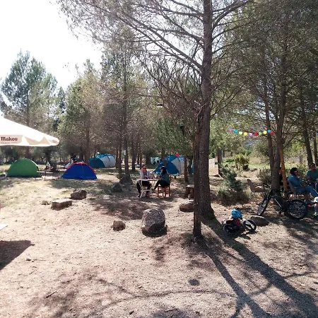 Buena Vista Cabanas Con Litera